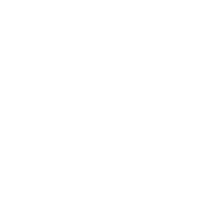Icon für Elektrik