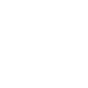 Icon für Elektronik